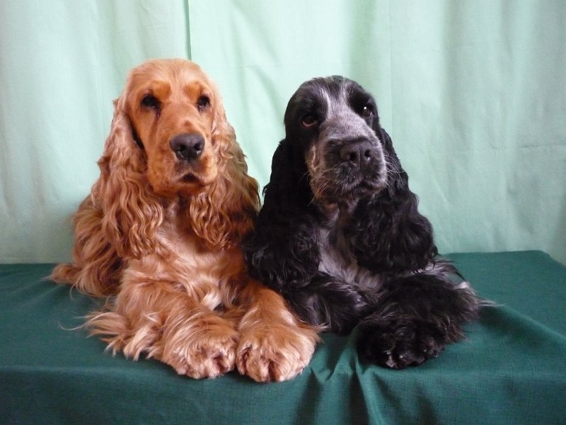 doma 25.2.2009 028.jpg